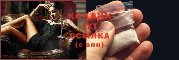 PSILOCYBIN Бикин