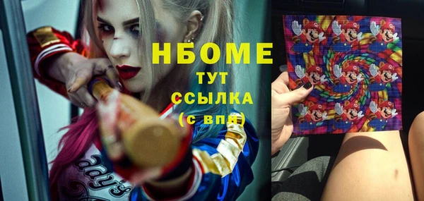 индика Билибино